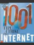 1001 tipů a triků pro Internet - náhled