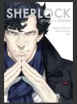 Sherlock 1: Studie v růžové - náhled