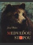 Medveďou stopou - náhled