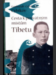 Cesta k posvátným místům Tibetu - náhled