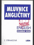 Mluvnice angličtiny - Professional English grammar book - náhled