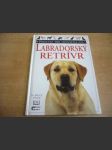 Labradorský Retrívr - náhled