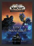 Warcraft - Stíny povstávají (Shadows Rising) - náhled