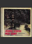 Jednou stopou mezi slony - náhled