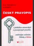 Český pravopis - náhled