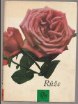 Růže - náhled