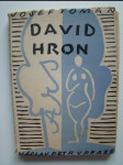 David Hron - román - náhled