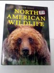 North american wildlife - náhled