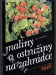 Maliny a ostružiny na zahrádce - náhled