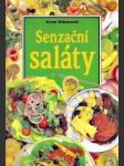 Senzační saláty - náhled