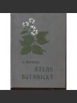 Atlas botanický (dle soustavy Linnéovy) - herbář, chronolitografie - náhled