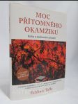 Moc přítomného okamžiku: Kniha o duchovním osvícení - náhled