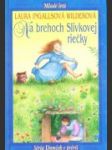 Na brehoch Slivkovej riečky - náhled