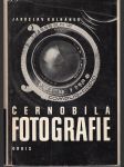 Černobílá fotografie - náhled