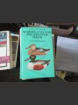 Ptáci luk, bažin a vod, Marshland and Freshwater - náhled