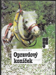 Opravdový koníček - náhled