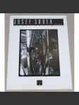 Josef Sudek doma = Josef Sudek at Home [Galerie Josefa Sudka, Praha, 1995; fotografie; katalog] - náhled