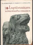 Lapidarium národního musea - náhled