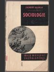 Sociologie - náhled