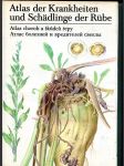 Atlas chorob a škůdců řepy - Atlas boleznej i vreditelej svekly / Atlas der Krankheiten und Schädlinge der Rübe - náhled