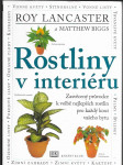 Rostliny v interiéru - náhled