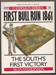First Bull run 1861 - náhled