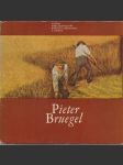 Pieter Bruegel - náhled