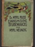 Dr. Karl Russ´ Einheimische Stubenvögel - náhled
