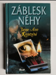 Záblesk něhy - náhled