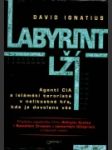 Labyrint lží : agenti CIA a islámští teroristé v nelítostné hře, kde je dovoleno vše - náhled