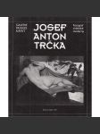 Josef Anton Trčka – Fotograf vídeňské moderny (vídeňská moderna) - náhled