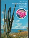 Encyklopedie kaktusů : Kaktusy a další sukulenty - náhled
