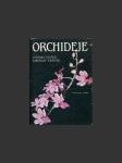 Orchideje - náhled