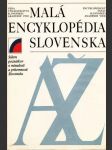 Malá encyklopédia Slovenska (veľký formát) - náhled