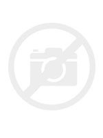 Jack Russell Terier - Rádce chovatele - náhled