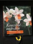 Kouzelné orchideje - náhled