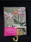 Orchideje - náhled