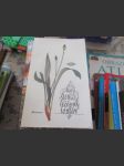 Malý herbář léčivých rostlin - náhled