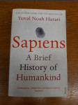 Sapiens - A brief History of Humankind - náhled