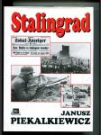 Stalingrad - anatomie bitvy - náhled