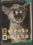 Zvířata zblízka - náhled