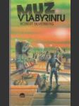 Muž v labyrintu  (The Man in the Maze) - náhled