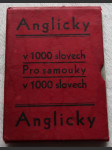 Anglicky v 1000 slovech pro samouky - náhled