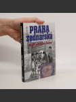 Praha zednářská : historie zednářství v Čechách - náhled