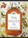 Výroba domácích vín - náhled