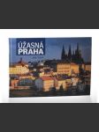 Úžasná Praha - náhled