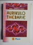 Aurikulo therapie - 2.Praxe - náhled