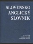 Slovensko - anglický slovník - náhled