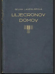 Liljecronov domov - náhled