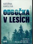 Odbočka v lesích - náhled